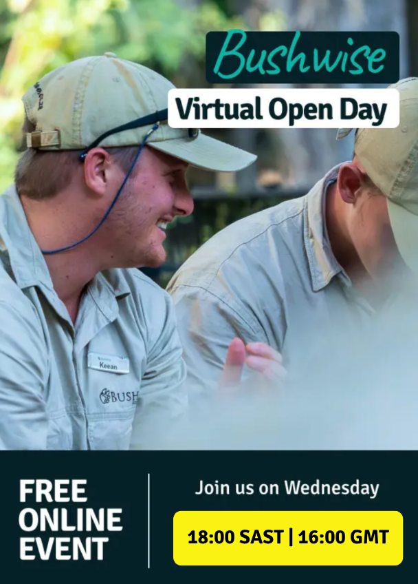 Virtual Open Day
